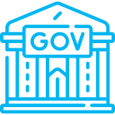 government