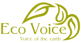 eco voice transparent BG remove